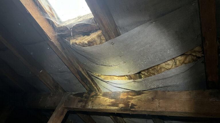 Vue intérieure d'une toiture endommagée, montrant un écran de sous-toiture déchiré, de l'isolation apparente et des traces d'humidité.