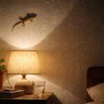 Gecko méditerranéen accroché à un mur blanc près d'une lampe allumée le soir